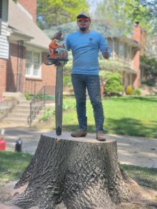 tree services 8